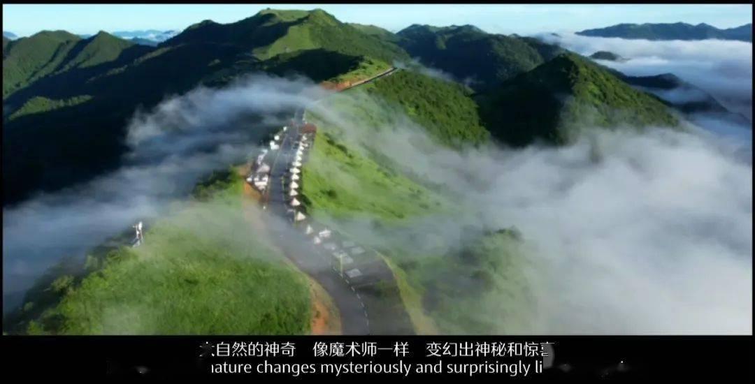 探索你所在公司有什么神仙福利?,发现更多乐趣